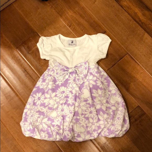Girls dress size 2T - Picture 1 of 3